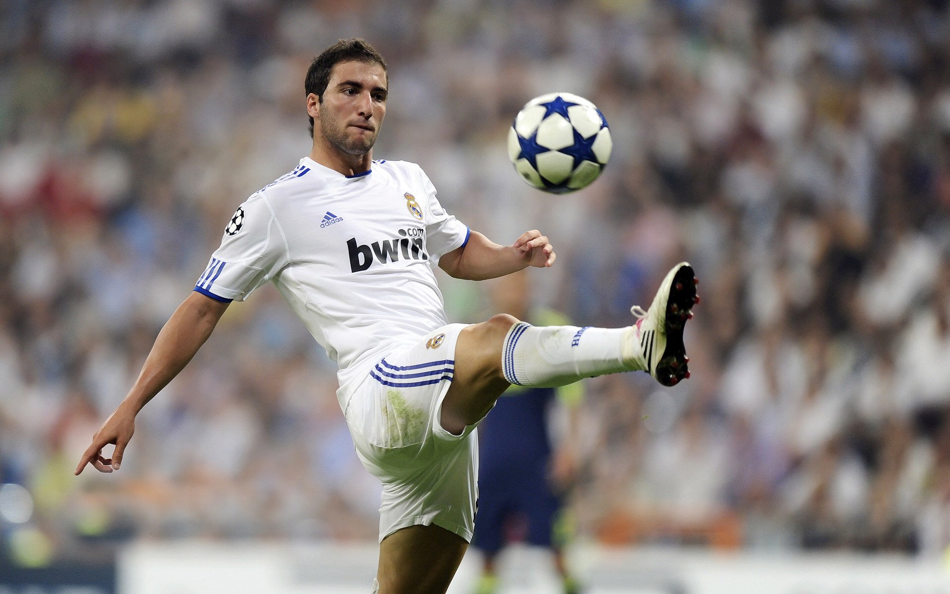 开云体育在线入口-“极地奇景”——从雪山到海底的全球赛场亮点，极地海底世界冰雪乐园